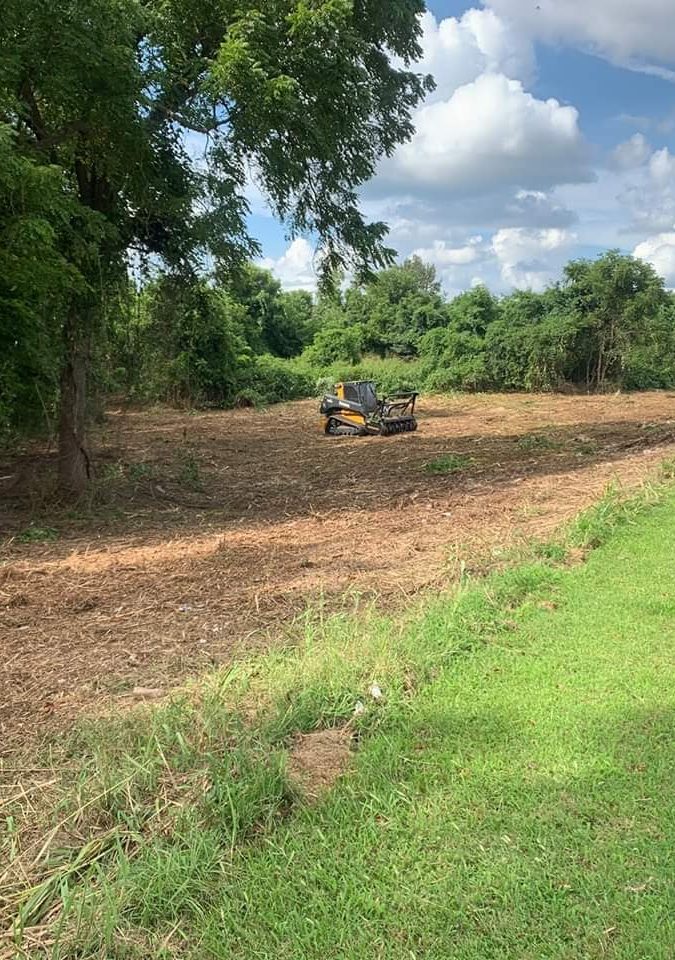 Land Clearing - Forestry Mulching