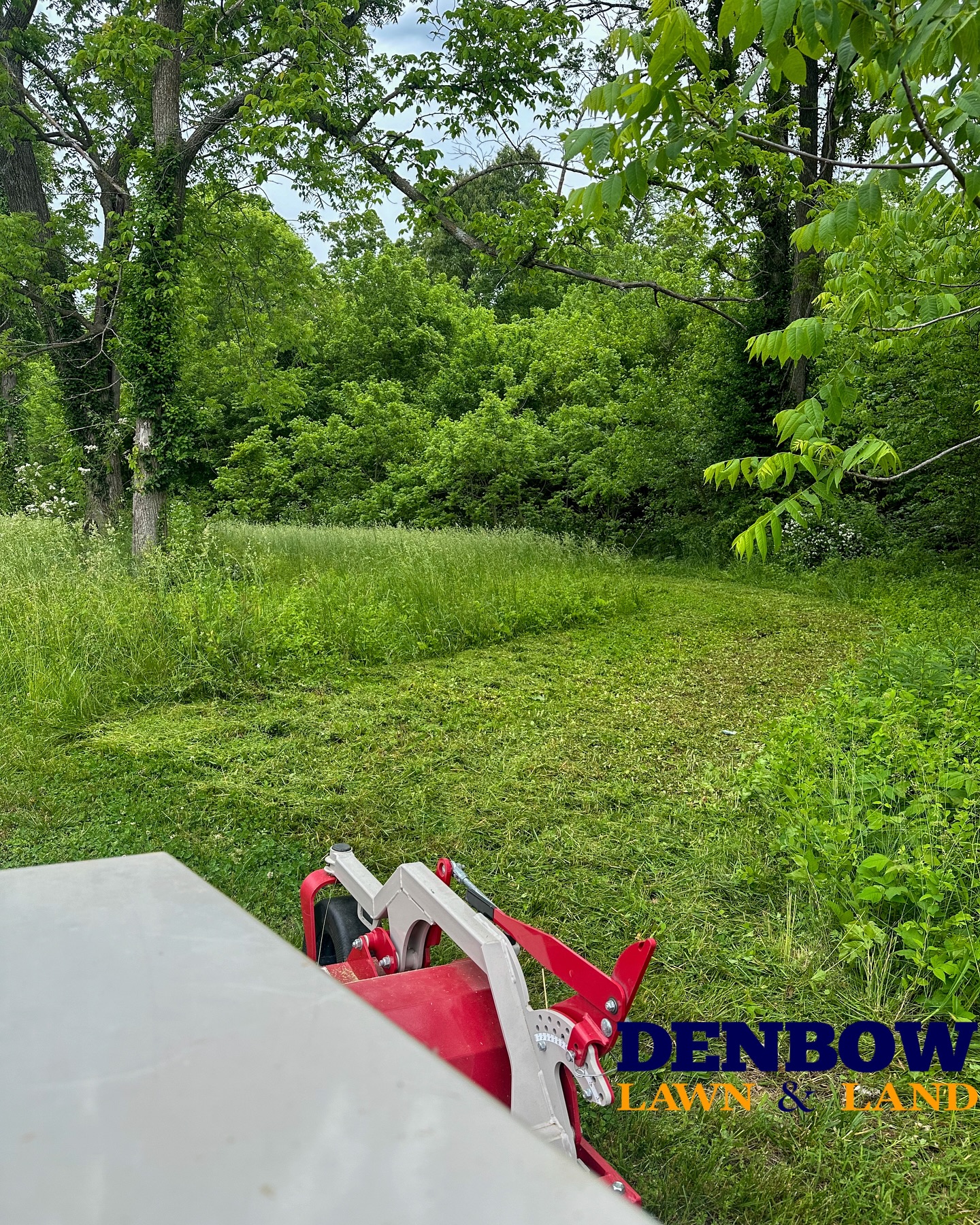 Brush Hogging Services in Republic MO