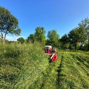 land clearing in republic mo