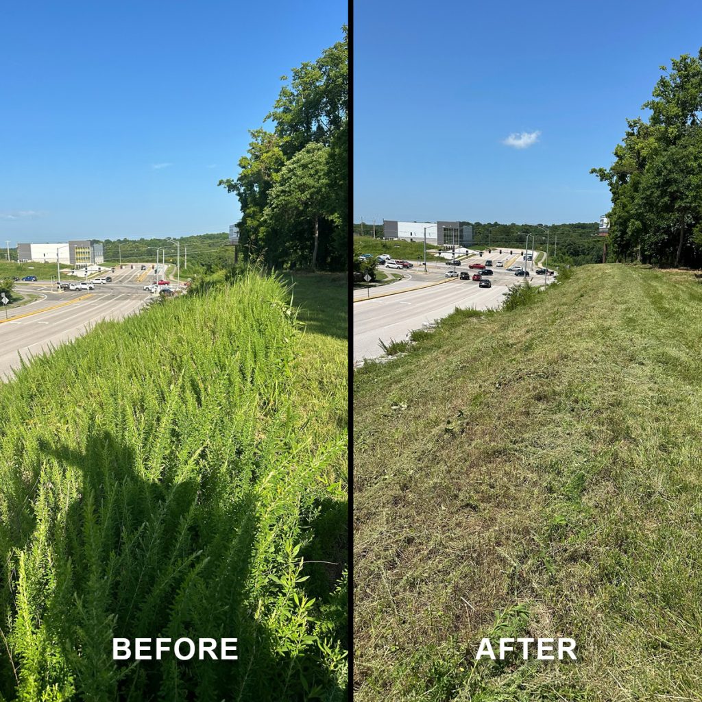 Land Clearing in Springfield MO | Brush Hogging, Forestry Mulching ...